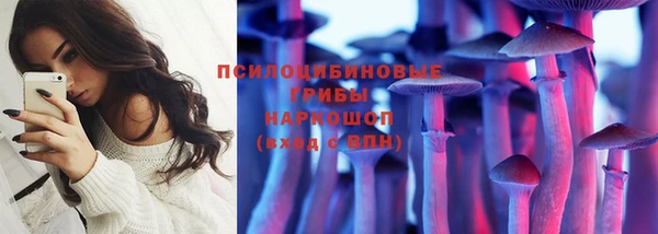 круглые Алексеевка