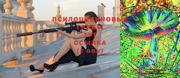 не бодяженный Алзамай
