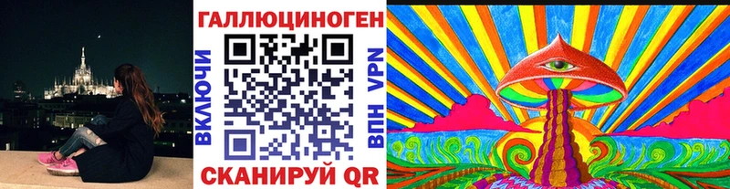 Галлюциногенные грибы Psilocybe kraken сайт Нижнеудинск